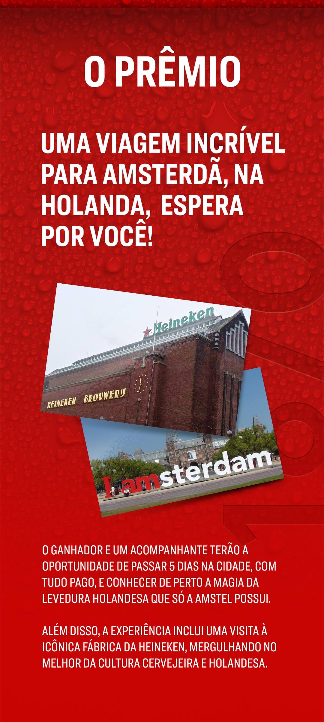 Uma viagem para amsterdã, amstel, Fabrica Heineken